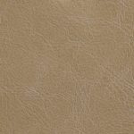 Beige Petra