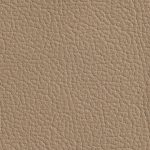 Ivory 266