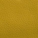 Lemon 373
