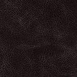 Perla Coffee