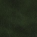 Green 303